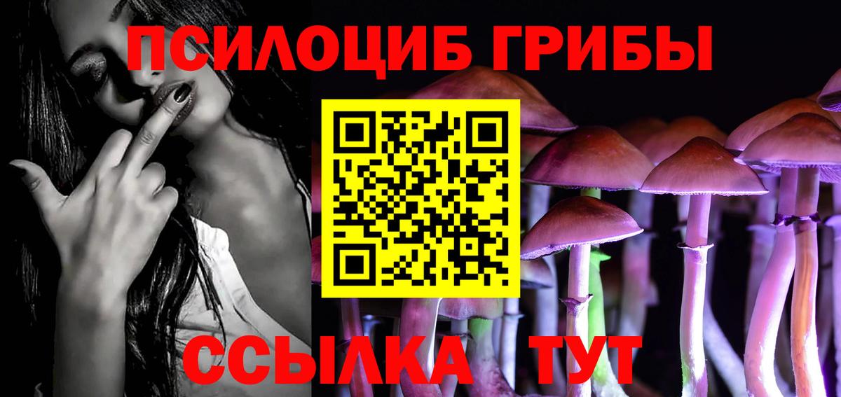 Галлюциногенные грибы Cubensis  Галлюциногенные грибы ЛСД  Вход с VPN  Тимашёвск 