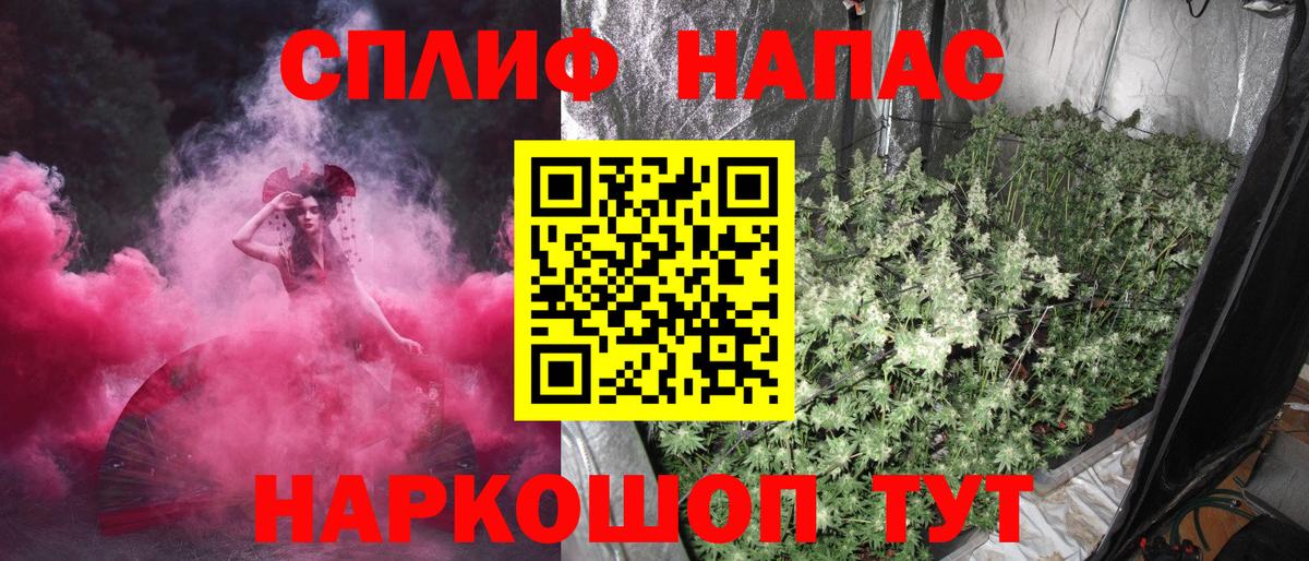 Каннабис конопля Тимашёвск